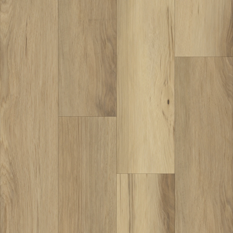 Charlie in Color Tiger's Eye